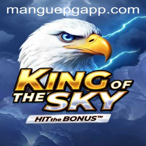 KingOfTheSky: An In-Depth Guide and Review